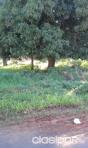 Venta de Terrenos CAÑADA SAN RAFAEL- LUQUE — foto 3