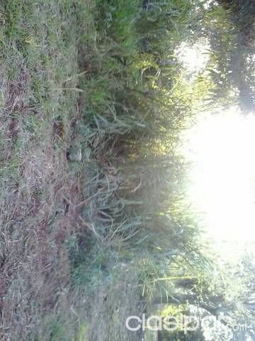 Terreno 12x30 — foto 3