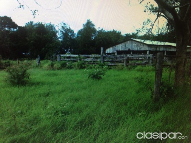 ESTANCIA EN DPTO SAN PEDRO — foto 2