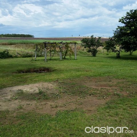 Vendo terreno 53 has, en Eusebio Ayala(Barrero Grande) — foto 2