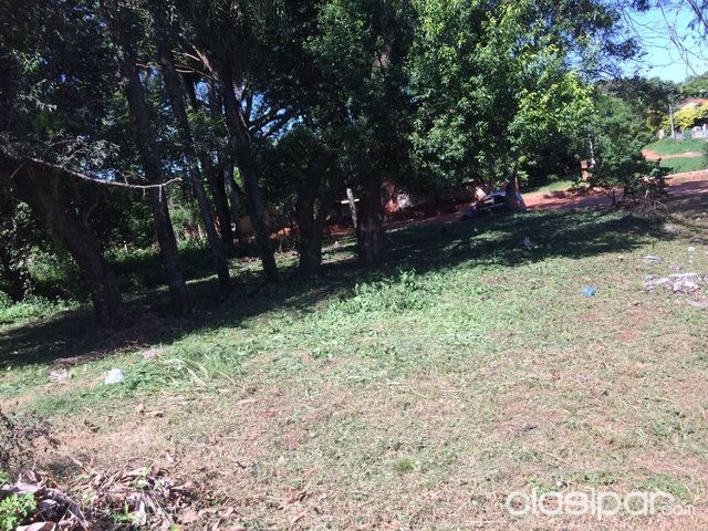 APROVECHE TERRENO ZONA ÑEMBY — foto 2