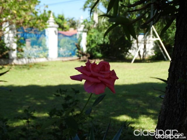 VENDO HERMOSA RESIDENCIA EN CIUDAD DEL ESTE — foto 2