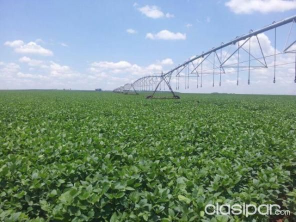 Fincas en Paraguay — foto 3