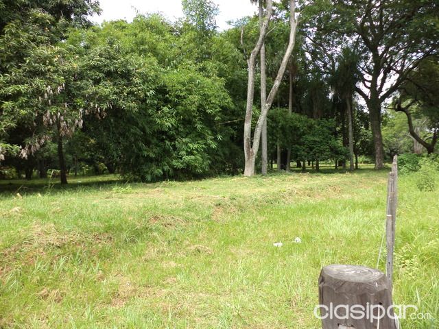 Terreno en Luque de 8975m2 — foto 3