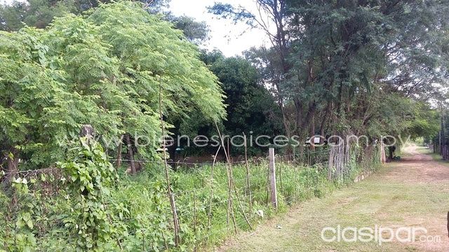 HERMOSO TERRENO 7000 M2 PALMA LOMA - LUQUE — foto 2
