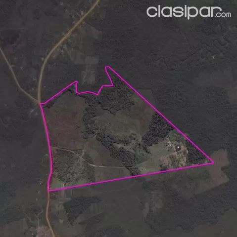 Vendo propiedad de 48 Has, Curuguaty - A 4km del pueblo — foto 2