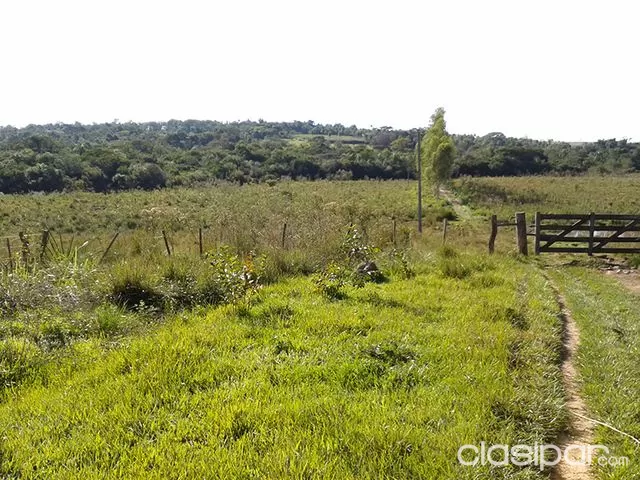 Vendo propiedad de 48 Has, Curuguaty - A 4km del pueblo — foto 3