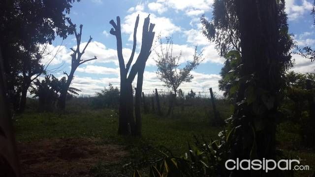 Vendo 8 hectáreas zona nueva fortuna!! — foto 2