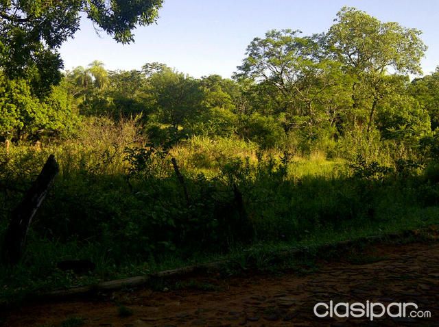 Terreno de 3 hectareas — foto 2