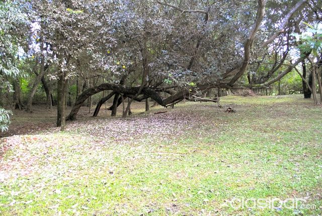 Zona de Camping en Caacupe para la venida del Papa! — foto 2