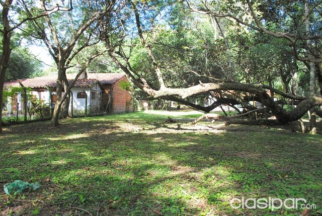 Zona de Camping en Caacupe para la venida del Papa! — foto 3