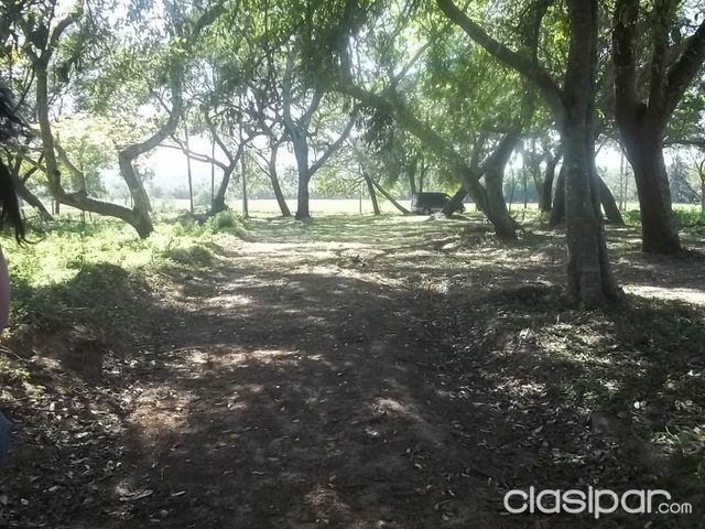 ATENCION... VENDO HERMOSOS LOTES EN ALTOS - SOBRE RUTA ASFALTADA — foto 2