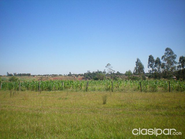 VENDO TERRENO DE 4 Ha (Granja)!!!!!! — foto 2