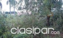 VENDO TERRENO LIMPIO -LUQUE — foto 3