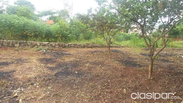 Remato terreno — foto 2