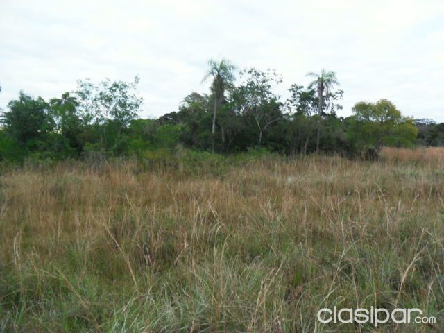 OFERTA FINANCIO A 5 AÑOS A 100 KM DE ASUNCIÓN EN CORDILLERA ESPECIAL PARA GRANJA AVICOLA!! — foto 2