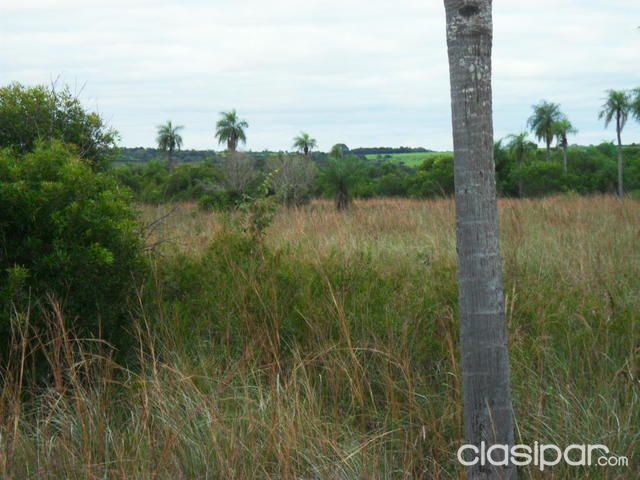 OFERTA FINANCIO A 5 AÑOS A 100 KM DE ASUNCIÓN EN CORDILLERA ESPECIAL PARA GRANJA AVICOLA!! — foto 3