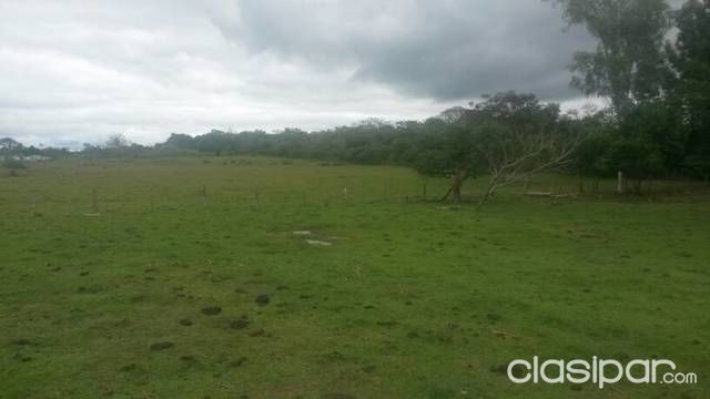 Terreno sobre ruta 3. Cerca de santani — foto 2