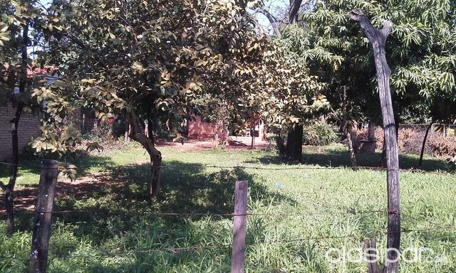 Vendo Terreno Luque Zona Boulevard Confederaciones 1630 Mts2 X 500 Cm2 — foto 3
