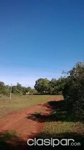 Compra, Venta y Alquileres de propiedades rurales — foto 3