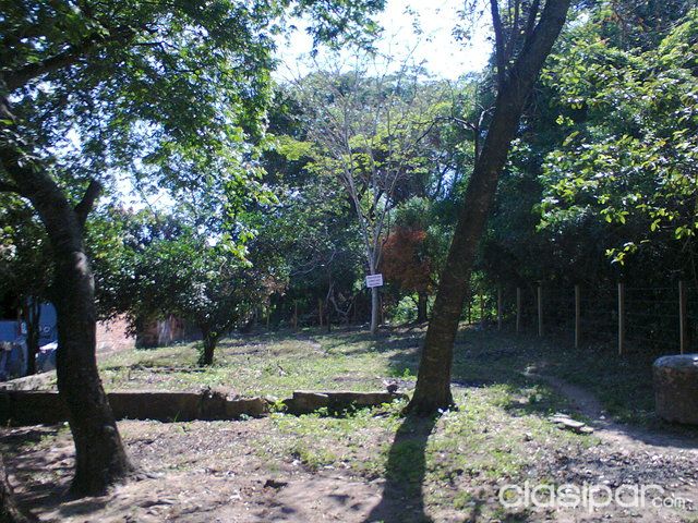 REMATO EN SANBER — foto 2