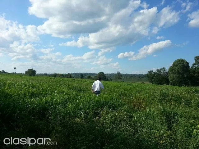 VENDO 58 has en Caaguazú, Pastoreo, una de las mejores zonas del Paraguay — foto 3