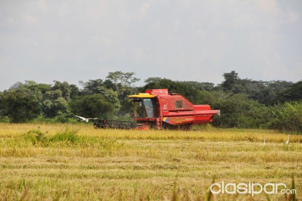 OFERTO TIERRAS PRODUCTIVAS EN GENERAL ARTIGAS - ITAPÚA — foto 2