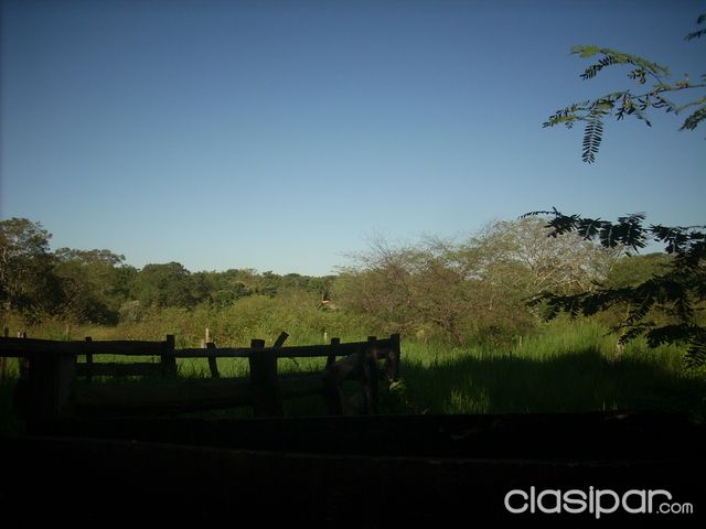 Vendo una casa quinta en Ita con arroyo, sobre la ruta — foto 2