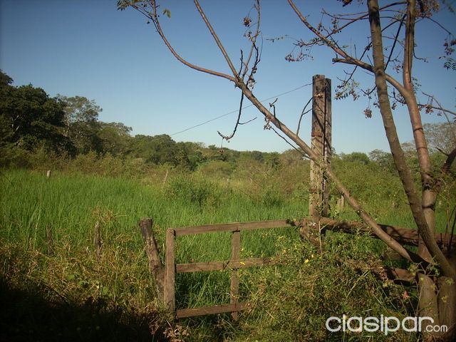 Vendo una casa quinta en Ita con arroyo, sobre la ruta — foto 3