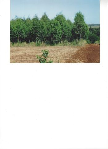 Espectacular terreno zona Itapua María Auxiliadora — foto 3