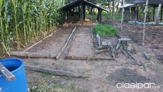 Vendo Granja en Colonia San Patricio — foto 2