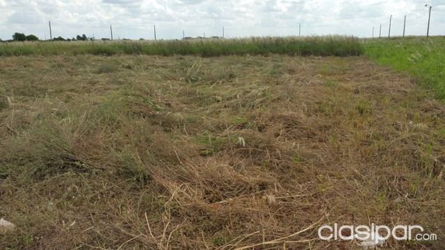 Vende dois terreno na fracciom scalabriniana — foto 3