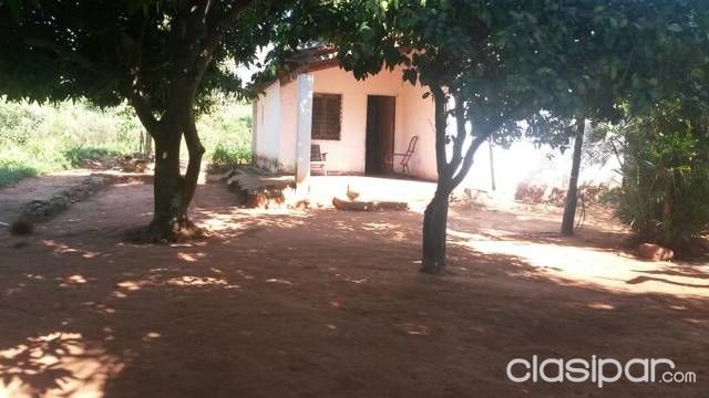 Remato en loma merlo luque — foto 3