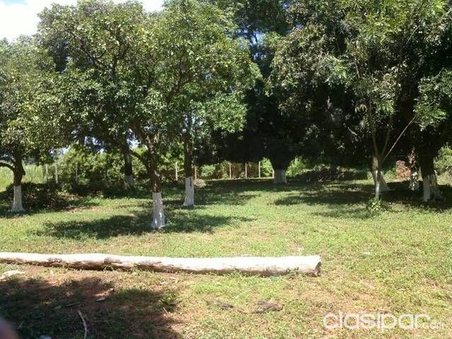 Vendo hermosa propiedad — foto 3