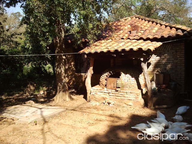 Vendo quinta en caacupe a media cuadra de la ruta2 — foto 2