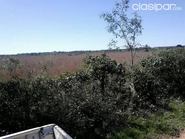 Vendo establecimiento rural a paso de la ciudad de tobati corillera — foto 2