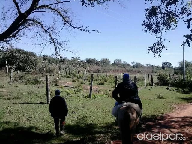Vendo establecimiento rural a paso de la ciudad de tobati corillera — foto 3