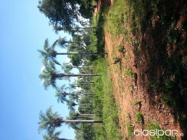 Vendo terreno luque yukyry — foto 3