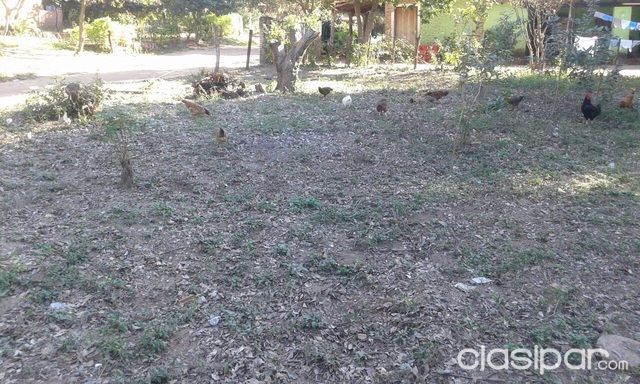Propiedad en la ciudad de Tobati Km 65 — foto 3