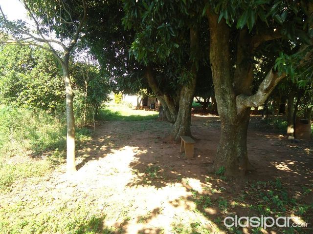 VENDO TERRENO EN COLONIA AVAY — foto 2