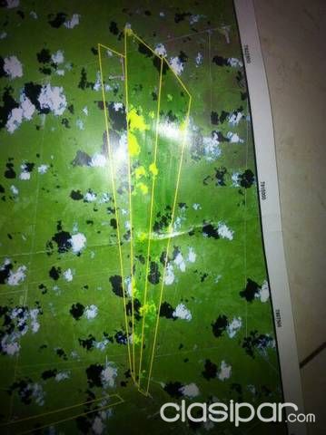 Vendo 4.009hectareas — foto 3