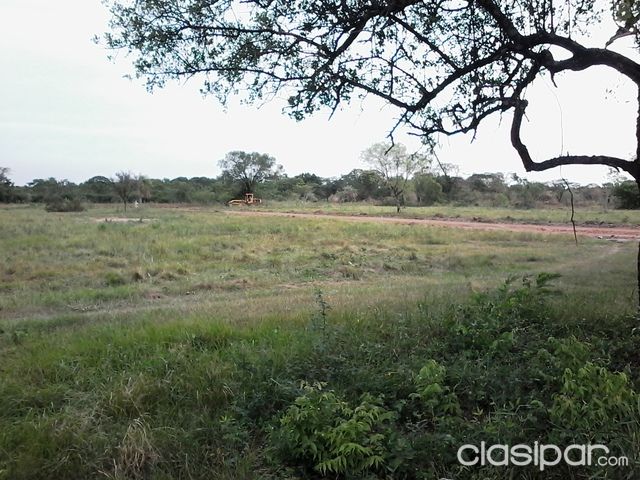 VENDO HERMOSOS LOTES EN CONCEPCION!!!!!! — foto 3