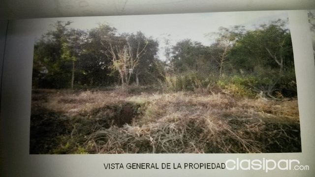 VENDO TERRENO 915 mts2 ZONA AEROPUERTO Luque DOS LOTES — foto 3