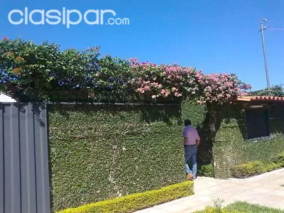 Hermosa casa Barrio San Carlos — foto 2