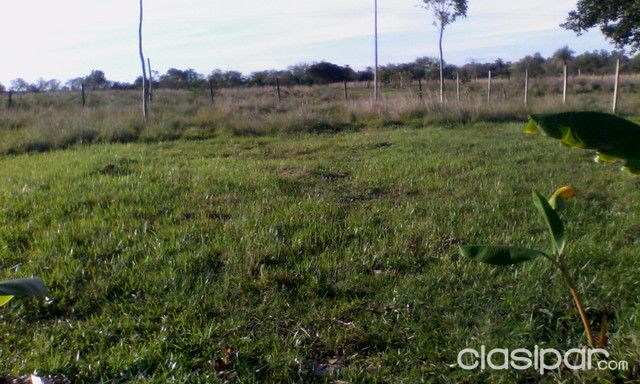 VENTA DE TERRENO — foto 2