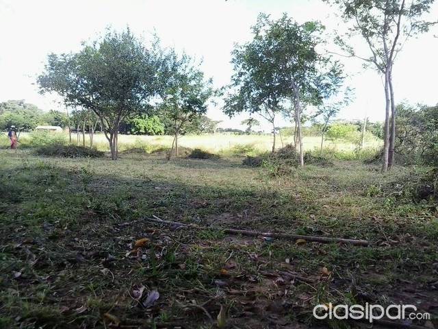 Hermoso terreno — foto 3