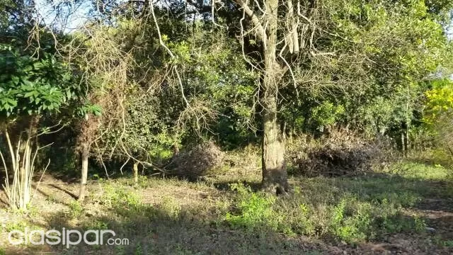 Vendo Terreno En Itauguá 20 X 100 — foto 2