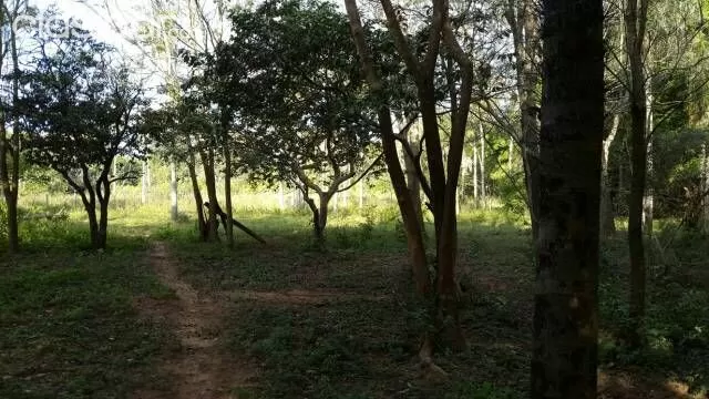 Vendo Terreno En Itauguá 20 X 100 — foto 3