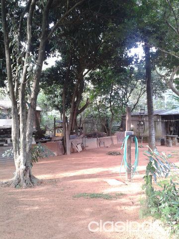 VENDO TERRENO - LUQUE - CAMPO GRANDE — foto 3