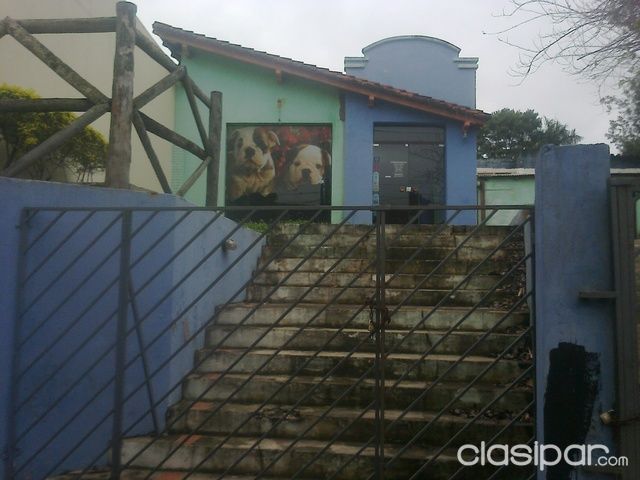 SE ALQUILA LOCAL SOBRE SENADOR LONG VILLA MORRA — foto 2
